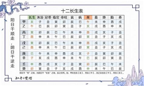 十二长生诀|十二长生表：生旺死绝胎养过程